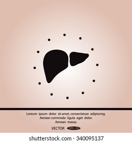 liver vector icon