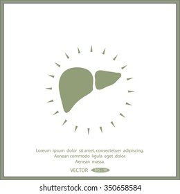 liver vector icon