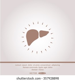 liver vector icon