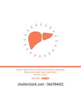 liver vector icon