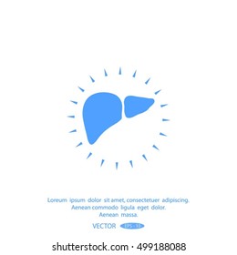 liver vector icon