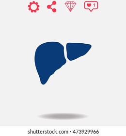 Liver vector icon on grey background.