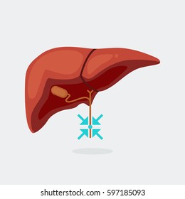 liver vector illustration