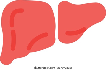 liver Vector illustration on a transparent background.Premium quality symbols.Stroke vector 
icon for concept and graphic design.