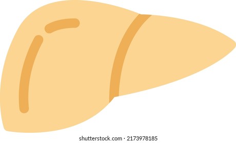liver Vector illustration on a transparent background.Premium quality symbols.Stroke vector 
icon for concept and graphic design.