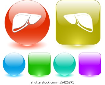 Liver. Vector interface element.