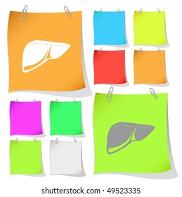 Liver. Vector note papers.