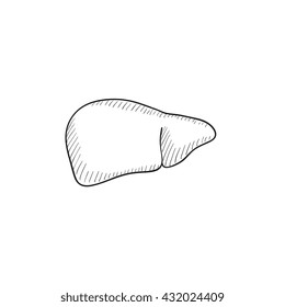 Liver vector sketch icon isolated on background. Hand drawn Liver icon. Liver sketch icon for infographic, website or app.