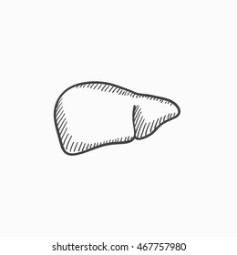 Liver vector sketch icon isolated on background. Hand drawn Liver icon. Liver sketch icon for infographic, website or app.