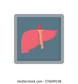 liver x-ray flat icon
