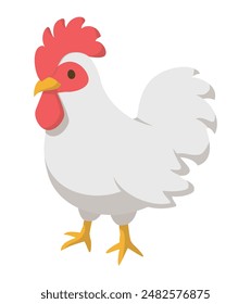 Livestock chicken. Farm animal. Vector illustration.