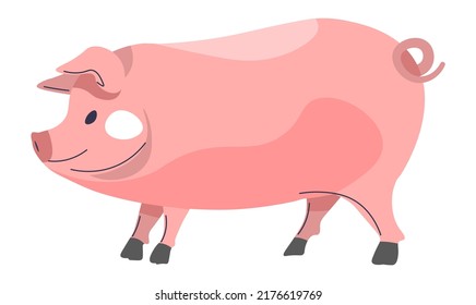 Livestock domestic animals, farming and agriculture, fauna and wildlife. Breeding pigs and swines for pork meat, countryside village business. Piggery with boars. Vector in flat style illustration