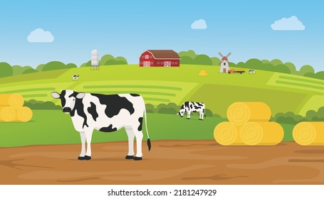 livestock farm with cow on farming land with green hills mountain