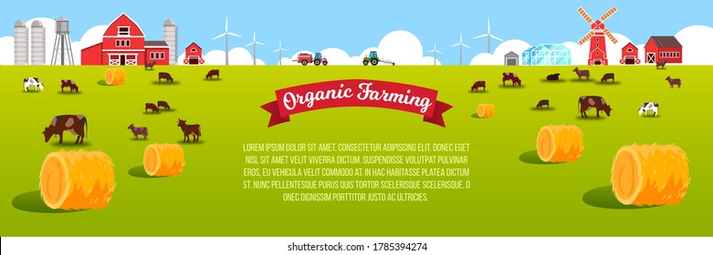 Livestock farm landscape with cows, field, haystacks, barn, mill, wind turbine, green meadow. Organic farming background in flat style with grazing animals, village buildings, tractor, copy space