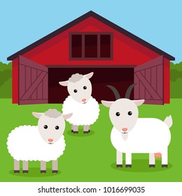 Livestock grazing near the farm:  goat and sheep. Flat vector illustration.