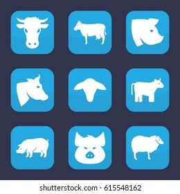 Livestock icon. set of 9 filled livestock icons such as cow, goat, pig