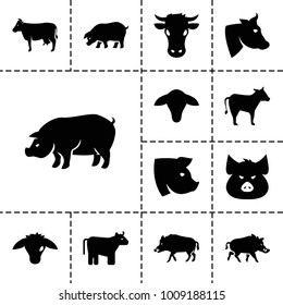 Livestock icons. set of 13 editable filled livestock icons such as cow, goat, hog