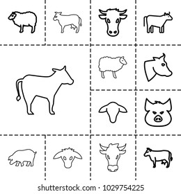 Livestock Icons Set 13 Editable Outline Stock Vector (Royalty Free ...