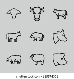 Livestock icons set. set of 9 livestock outline icons such as cow, hog, sheep, pig