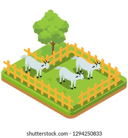 Livestock including goats in the paddock, on grassland isometric compositions in vector illustration of green background - Vector