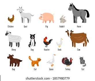 173 English breed chickens Images, Stock Photos & Vectors | Shutterstock