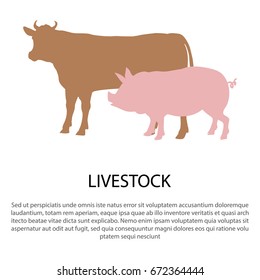 Livestock poster with pink pig and cow silhouettes vector illustration isolated on white with text. Domestic farm animals in cartoon style flat design