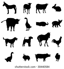 Livestock and poultry