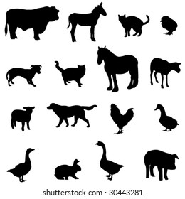 Livestock and poultry