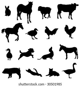 Livestock and poultry