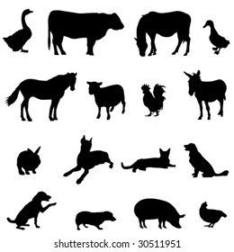 Livestock and poultry