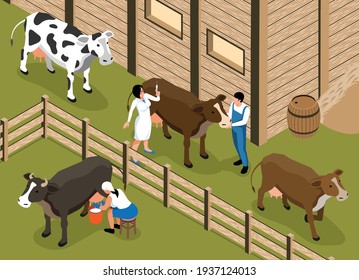 Livestock veterinarian visits family dairy farm isometric composition with woman milking cow in paddock vector illustration