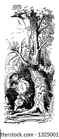 Livie imaginaba la eclosión de un huevo en su seno para adivinar el género de su hijo a partir del género de una ilustración artística de línea grabada en época de polluelo. Diccionario Infernal 1863.