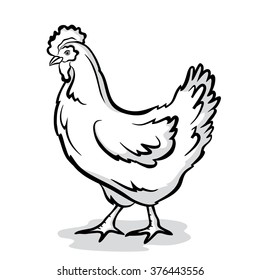 Living Chicken Vector Illustration in Black and White