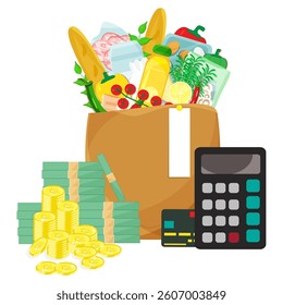 Living concept. Infographic vector illustration paper bag with grocery products, calculator, credit card and cash with coins stacks. Living cost inflation and budget planning.