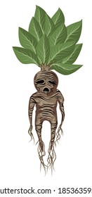 living monster mandragora mandrake crying plant