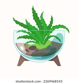 The living plant is planted in a glass container. The illustration depicts a terrarium for plants. Vector image.