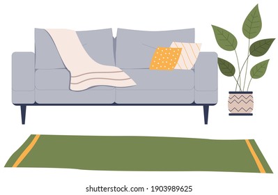 Living room furniture design, comfort home interior elements. Contemporary furniture for living room or apartment. Sofa with pillows and plaid, potted plant at the carpet. Modern sofa place to relax