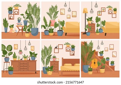 Sala de estar interior. Moderno y acogedor apartamento con muebles y plantas. Salón con estanterías y lámparas decorativas. Ilustración vectorial plana