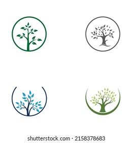 Living tree logo design, using vector concept.