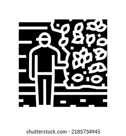 living walls installation glyph icon vector. living walls installation sign. isolated symbol illustration