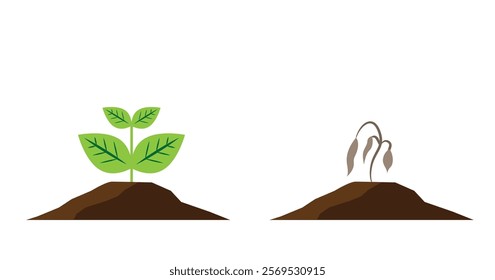 Living and Withered Sprout Flat Style. Nature, plants and flowers concept vector art