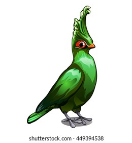 Livingston's Turaco (Tauraco livingstonii) isolated on white background. Tropical birds. Vector illustration.