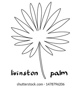 Livinston palm leaf. Black plant isolated on white. Flat design. Vector EPS10