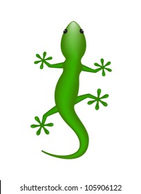 Lizard
