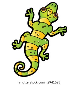 Lizard