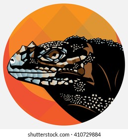 lizard