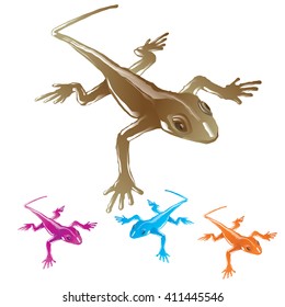 Lizard