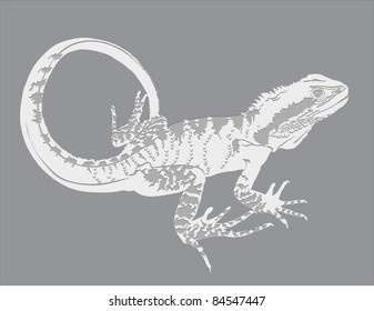 lizard