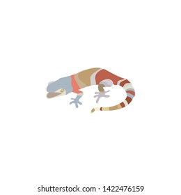 Lizard animal in cartoon style isolated on white background. Vector illustration