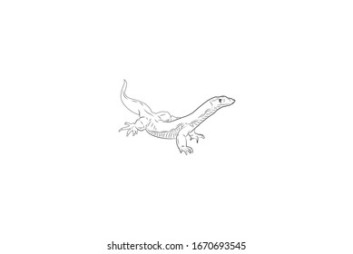 Lizard Animal Cartoon Vector Outline Illustration
